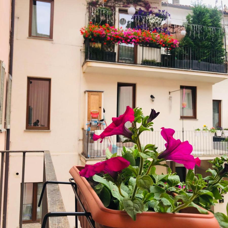 Ostello Casa Conte Rosso